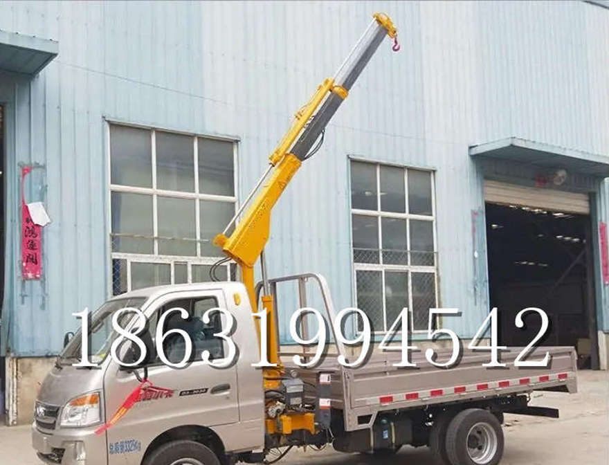 那坡县车载吊机多少钱起重机小吊机220V吊车小型蜘蛛吊多少钱车载吊机